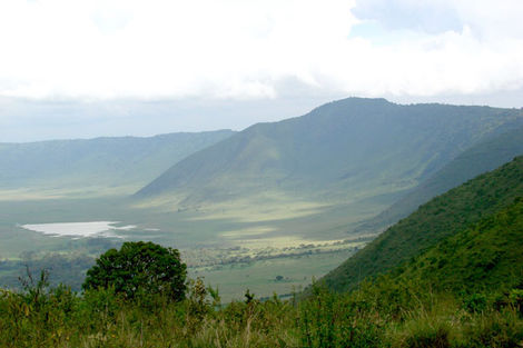Nature - Circuit Essentiel de la Tanzanie Kilimanjaro Tanzanie