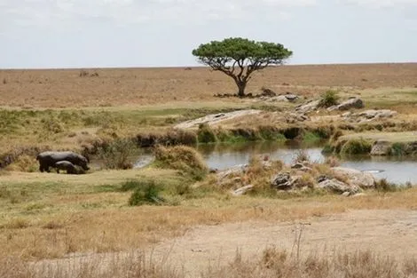 Circuit Splendeurs de Tanzanie photo 7