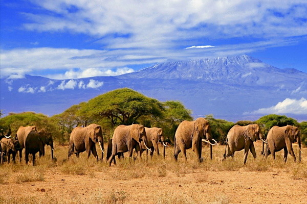 Tanzanie : Circuit Évasion Tanzanienne & Zanzibar