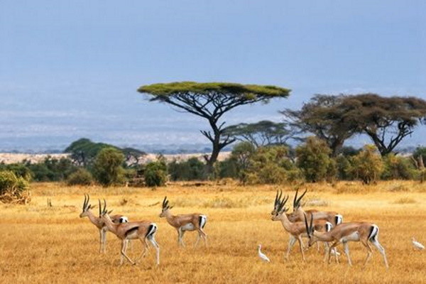 Tanzanie : Circuit Immersion en Tanzanie & Séjour Stone Town & Zanzibar