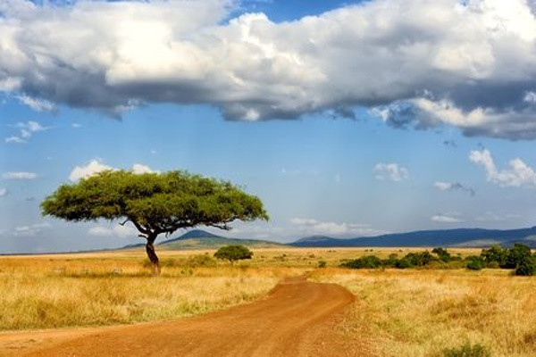 Tanzanie : Circuit Merveilles de Tanzanie - Limité à 6 pers./véhicule