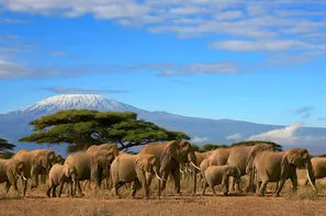 Tanzanie-Kilimanjaro, Circuit Merveilles de Tanzanie