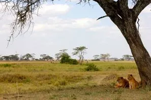 Tanzanie-Kilimanjaro, Circuit Splendeurs de Tanzanie