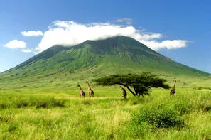 Tanzanie-Nairobi, Combiné circuit et hôtel Beautés sauvages : Kenya & Tanzanie