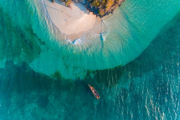 Nature - Circuit Zanzibar : entre nature, senteurs et plages (Framissima Paje Palms Beach) 4* sup Zanzibar Tanzanie