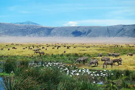 Circuit Safari au cœur du Ngorongoro et plages de Zanzibar 4* Tanzanie Zanzibar