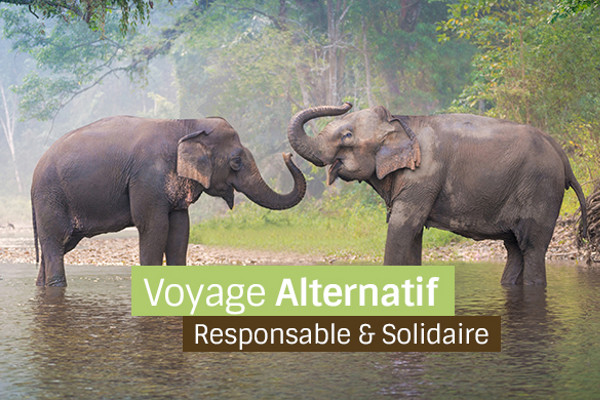 Voyage Alternatif Thailande - En Terre de Siam