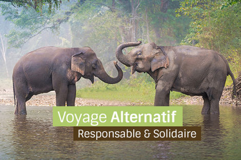 Circuit En Terre de Siam 3*