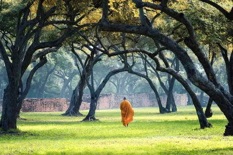 Circuit Les Essentiels de la Thaïlande & farniente au Krabi Tipa Resort 4*