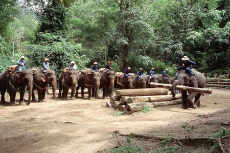 Circuit FRAM Des Capitales du Siam aux plages de Khao Lak photo 6