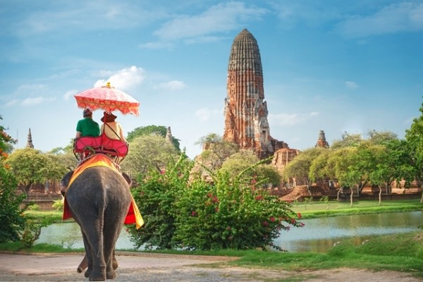 elephant