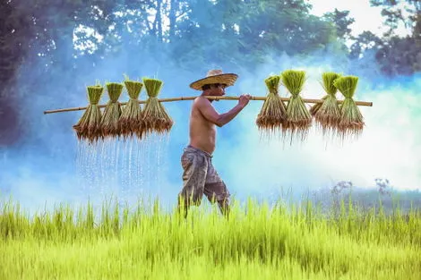 Circuit Les Essentiels de la Thaïlande & farniente au Nature Phuket 5*