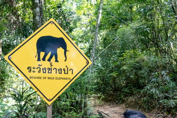 Khao Sok