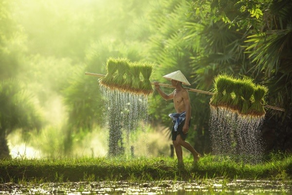 Les Essentiels de la Thaïlande & farniente au Nature Phuket