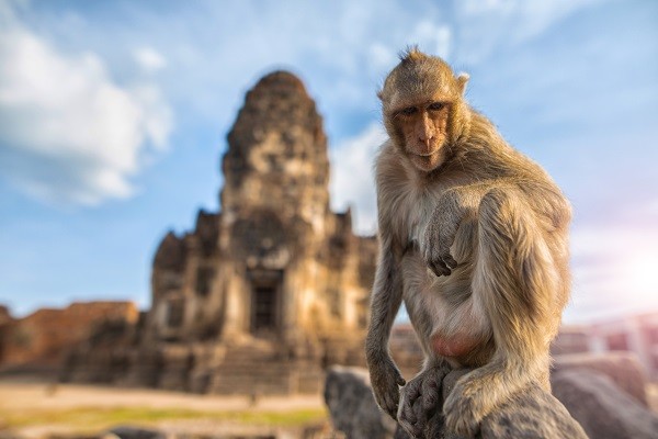 Lopburi