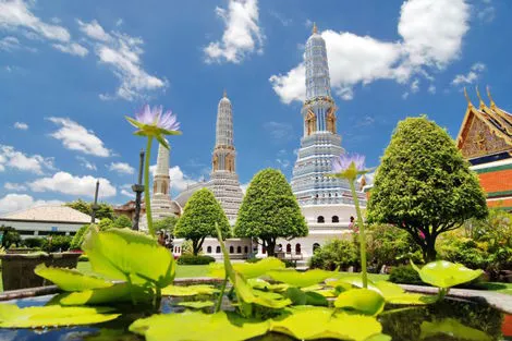 Thailande : Circuit Orchidées, de Bangkok au Triangle d'Or