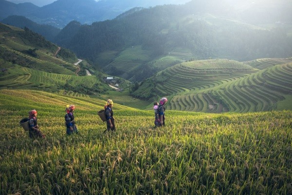 Nord de la ThaÏlande