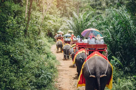 Thailande : Circuit Saveurs et Couleurs de Thai¨lande
