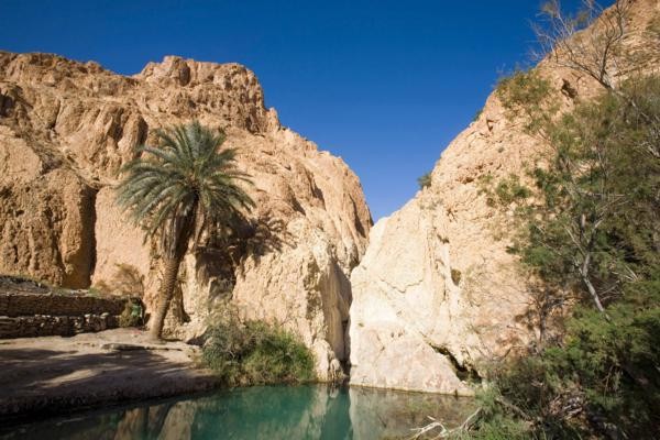 Nature - Circuit De Djerba à Tozeur : entre plage et désert Djerba Tunisie