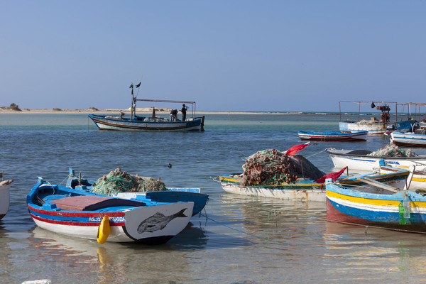 Tunisie : Circuit Mer & oasis