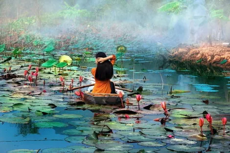 Nature - Circuit Lotus du Vietnam Hanoi Vietnam