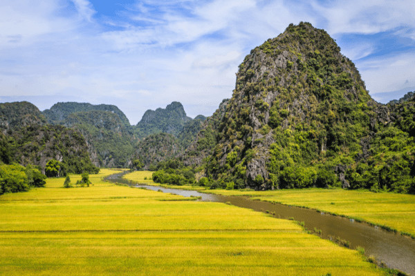 Vietnam : Circuit Passion du Vietnam en Privatif