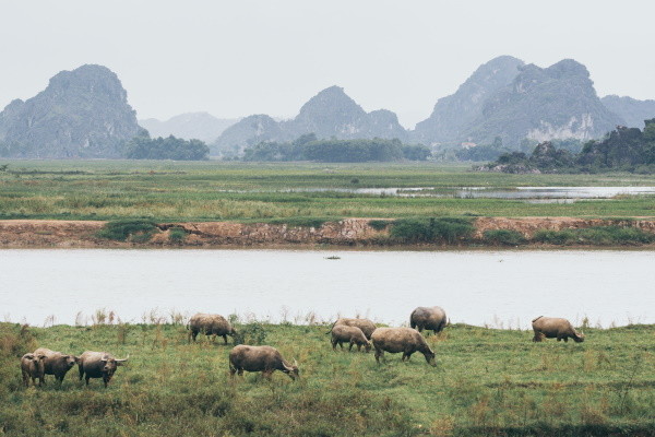 Ninh Binh
