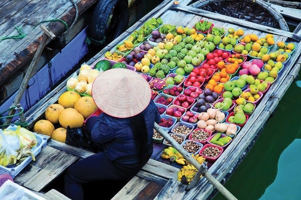 Vietnam - Au Coeur du Vietnam
