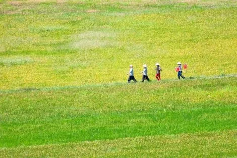 Circuit Splendeurs du Vietnam Cambodge 3*