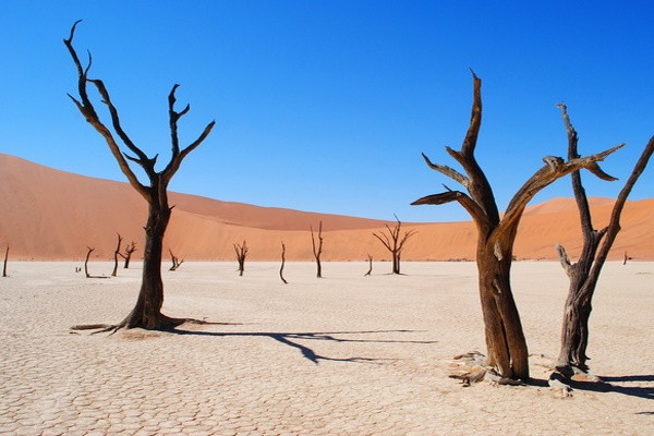 Zimbabwe : Circuit Des Chutes Victoria au Désert du Namib