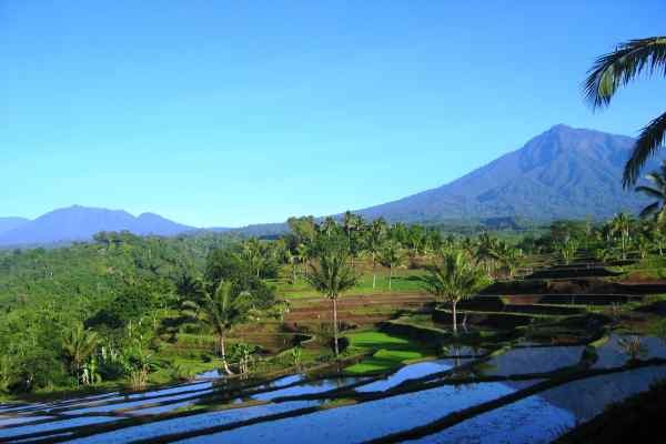 Bali Générique
