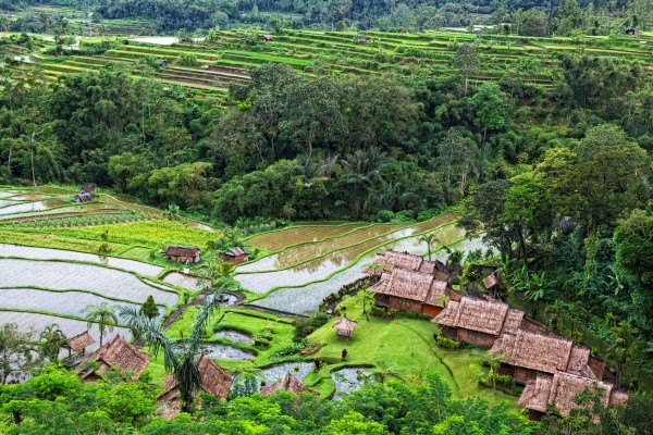 Bali Générique