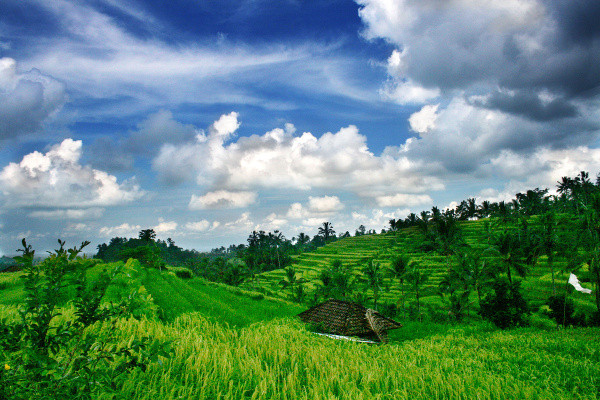 Bali