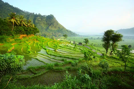 vol+hotel Combiné Balade à Bali et extension 3 nuits au Framissima Évasion Bali Tropic 5* Bali Denpasar