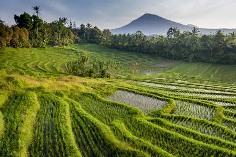 Bali : Combiné circuit et hôtel Merveilles de Bali & extension Aston Kuta