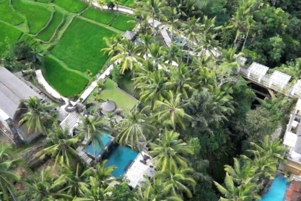 Vue panoramique - - Balnéaire au Prama Sanur Beach 4* Sup + Wapa di Ume 4* à Ubud