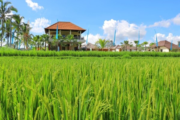 Abirama Ubud Villa - Balnéaire au Anema Villa Seminyak + Abirama Ubud Villa