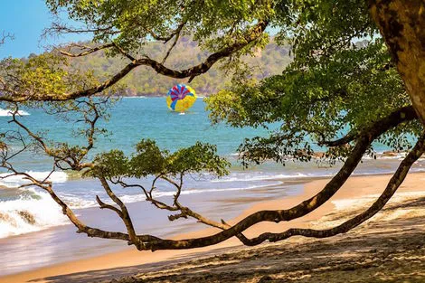 Costa Rica : Combiné circuit et hôtel Entre Jungles et Forêts du Costa Rica + extension Playa Samara