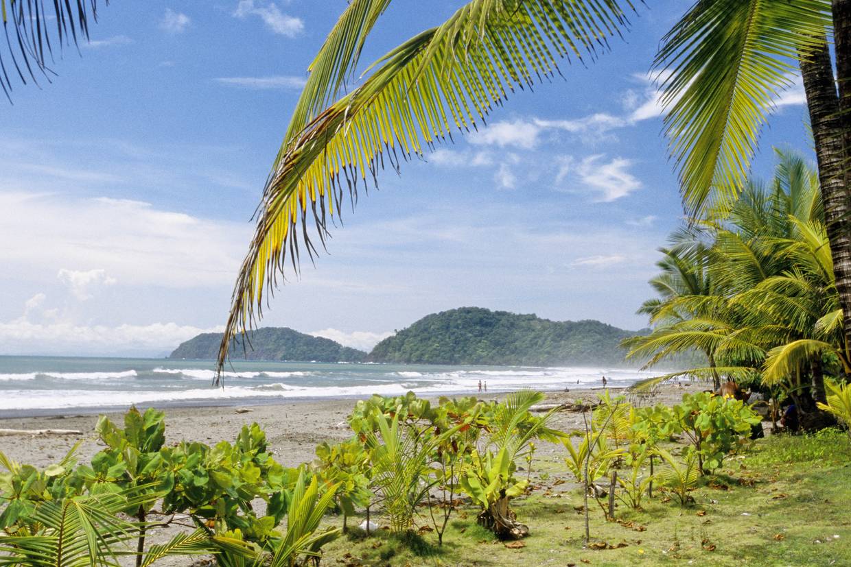Combiné circuit et hôtel Jungles et forêts et extension 2 nuits hôtel Bosque Del Mar Amérique Latine Costa Rica