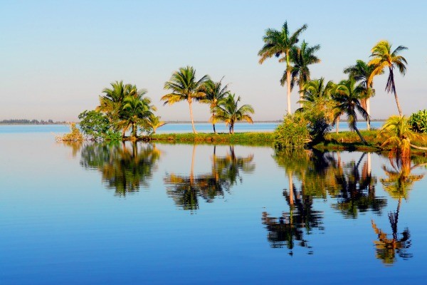 Photo - Perle des Caraïbes et extension Framissima Sol Palmeras