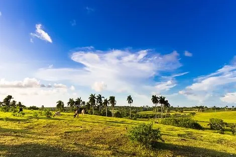 Combiné COMBINE HAVANE - TRINIDAD - SANTA MARIA : CASAS PARTICULARES SUPERIEURE ET EXTENSION MELIA LAS DUNAS CAYO SANTA MARIA 5* Cuba La Havane