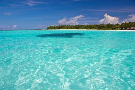 Combiné hôtels 2 Iles : Dubaï + Maldives Sofitel Dubaï Jumeirah Beach 5* + Sun Island Resort & Spa 5* photo 15