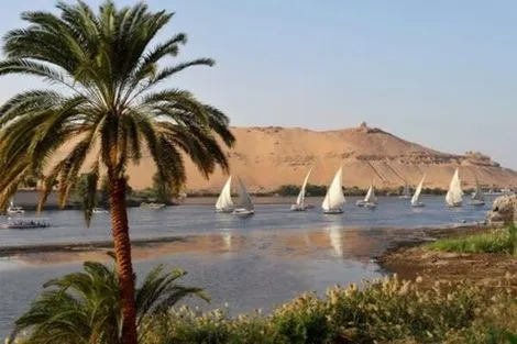 Nature - Combiné croisière et hôtel Merveilles du Caire au Nil & Alexandrie 5* Le Caire Egypte