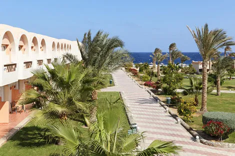 Combiné croisière et hôtel Splendeurs du Nil et Three Corners Sea Beach 4* photo 33