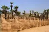 Monument - Combiné croisière et hôtel Les Incontournables du Nil à la Mer Rouge 5* Louxor Egypte