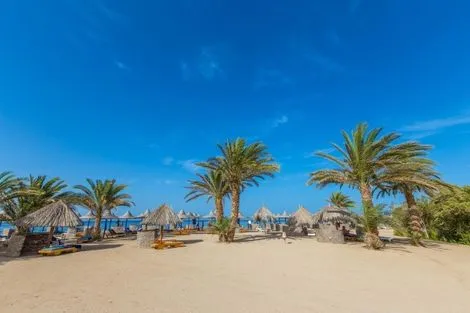 Plage - Combiné croisière et hôtel Fabuleuse Egypte et Utopia Beach 4* Louxor Egypte