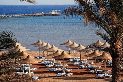 Croisière Sur le Nil avec excursions et séjour au Stella Di Mare Beach Resort 5* photo 20