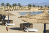 Plage - Croisière Sur le Nil sans excursions et séjour à l'hôtel Coral Sun Beach 4* Louxor Egypte