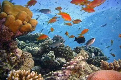 Croisière Splendeurs des pharaons et extension Le Caire & Hurghada photo 4