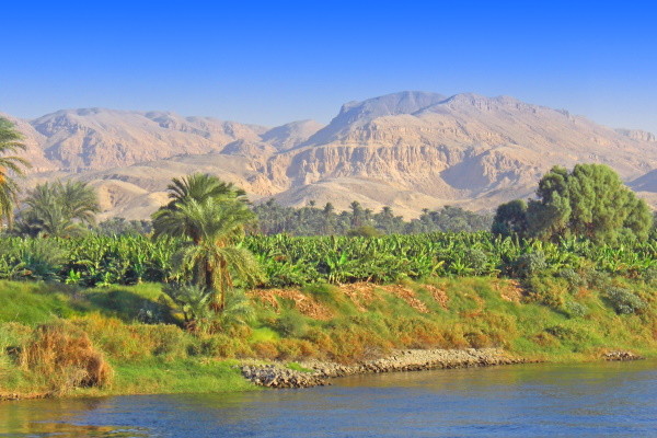 Nature - Combiné croisière et hôtel Splendeurs du Nil et Old Palace 5* Louxor Egypte